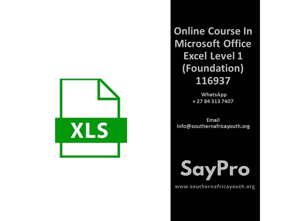 SayPro Online Course in Microsoft Office Excel Basic 116937