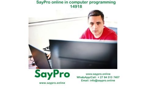 SayPro Training Course in Computer Programming 14918